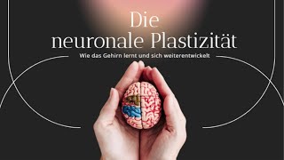 Lerne wie dein Gehirn lernt Neuronale Plastizität [upl. by Ivie]