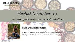 Herbal Medicine 101 [upl. by Malorie]