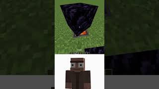 Interesting Features vs Villager Myths Reaction shorts meme minecraft [upl. by Eurydice]