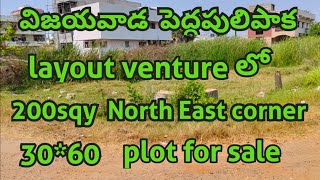 200sqy North East corner layout plot for sale in vijayawada  in pedapulipaka 3060 in venture [upl. by Ateerys]