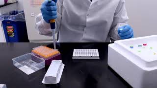 Use a No Template Control NTC in your qPCR [upl. by Gold790]