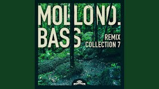 Dreams MollonoBass Remix [upl. by Ondrej]