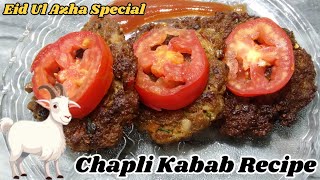 Peshawari Chapli Kabab RecipePeshawari Chapli Kabab Banane ka tarikaEid ul Azha Special [upl. by Lexine277]