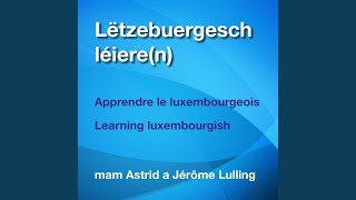 Learning Luxembourgish Luxemburgisch Lernen [upl. by Inigo]