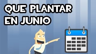 Que SEMBRAR y PLANTAR en JUNIO  Calendario de Siembra [upl. by Jocelyn]