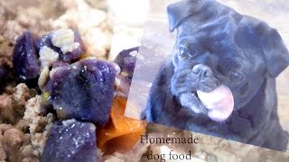 DIY Homemade Food for DOGS Turkey  Bison  fish [upl. by Glialentn]