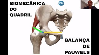 Conceitos essenciais para a Reabilitação do Quadril  Balança de Pauwels [upl. by Eatnohs220]