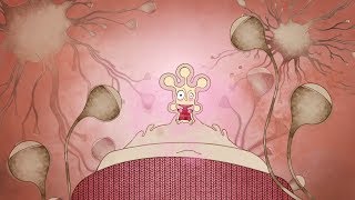 Neurotransmitter  animated video science [upl. by Emiaj]