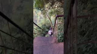 Yercaud Kiliyur falls stairs yercaud yercaudtrip [upl. by Brande]