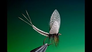 Fly Tying extended mayfly dry fly body tutorial with Barry Ord Clarke [upl. by Stinson624]