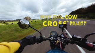 Vlog 2  Chapter 1  Motorcycle Ride to Glenbrook Beach on a Windy Day [upl. by Mathews]