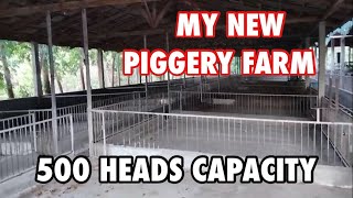 PIGGERY FARM  PIG FARMING IN THE PHILIPPINESNEGOSYOPHILIPPINES [upl. by Fairweather]