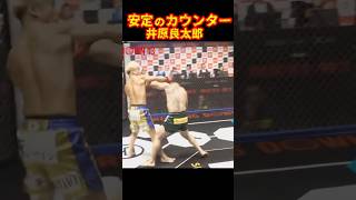 楽勝？井原良太郎vsメミーゴンザレスブレイキングダウン13 ＃井原良太郎shorts [upl. by Amiaj802]