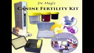 A Canine Fertility Test Kit for Dog Breeders [upl. by Aonian457]