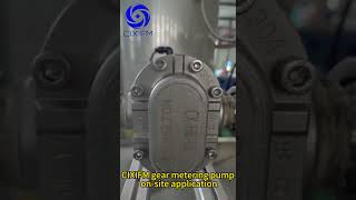 CIXIFM gear metering pump highspeed pump on site application  pumpingsolutions meteringpump [upl. by Toms]