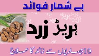 سبز ہریڑ دے وڈے فائدے زرد ہریڑ کے فائدے اور استعمالbenifits of myrobalan black hareerqabli hreer [upl. by Soll60]