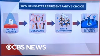 DNC vote on nomination process and timeline expected [upl. by Eleon]