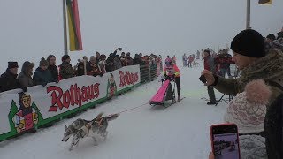 Internationales Schlittenhunderennen Todtmoos 2019  Impressionen vom 26012019 [upl. by Aihsenrad308]