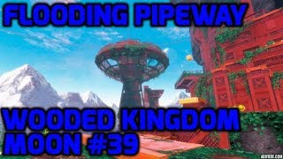 Super Mario Odyssey  Wooded Kingdom Moon 39  Flooding Pipeway [upl. by Bena]