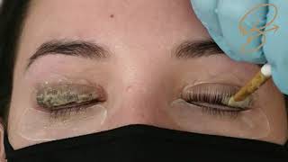 Lash Lift amp Tint service in only 30 mins Bee Pampered Accelerated Lash Lift amp Tint Training Video [upl. by Alf]