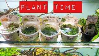 How to plant and prepare 12 grow plants [upl. by Blainey419]