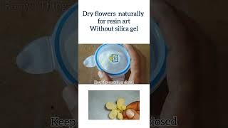 Lets dry flowers without silica gel  dry resin flowersresinflowers resinartist [upl. by Mackler727]