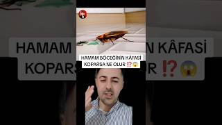 HAMAM BÖCEĞİNİN KÂFASİ KOPARSA NE OLUR ⁉️😱 [upl. by Farley]