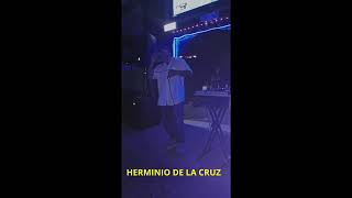 No speak spanish my love bachata  herminio de la cruz 2022 [upl. by Myk]