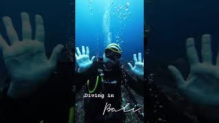 Scuba Diving in Bali Nusa Penida Diving balidiving [upl. by Omsare]