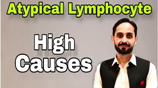 Atypical Lymphocytes  What is Atypical Lymphocyte  High Atypical Lymphocytes Causes [upl. by Cleon349]