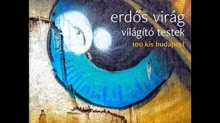 Erdős Virág világító testek  100 kis budapest Magvető 2016 [upl. by Gates]