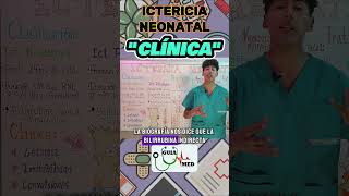 ICTERICIA NEONATAL SÍNTOMAS  GuiaMed pediatria medicina ictericia [upl. by Emorej]