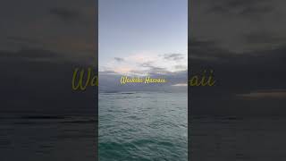 Waikiki Hawaii [upl. by Buzz]