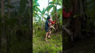 Ko bisa gitu subscribe comedy funny shots vidioviral film [upl. by Dilisio587]