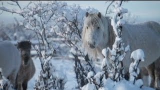 Oymyakon  the worlds coldest inhabited place [upl. by Pliner972]