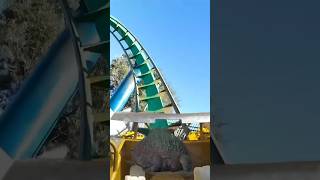 POV Your on a roller coaster ride with a frog 🐸🎢 shorts frog rollercoaster greenscreen alveus [upl. by Nomi]