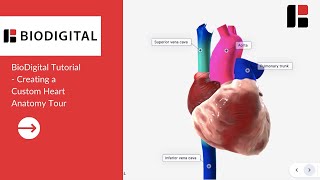 BioDigital Tutorial  Creating a Custom Heart Anatomy Tour [upl. by Enicar520]