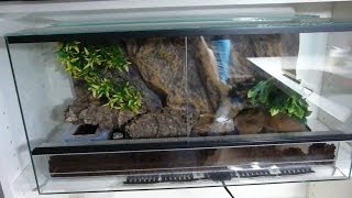 🦎 Como PREPARAR un TERRARIO para GECKO LEOPARDO  Como hacer terrario para Gecko Leopardo [upl. by Pearlstein]