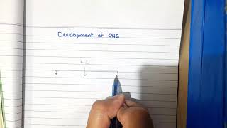 Nervous system development  CNS Embryology Part 1 [upl. by Anerol]