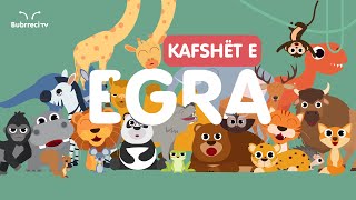 🐘 Kafshët e Egra për Fëmijë 🦧 Këngë Shqip për Fëmijë 🦁 Bubrreci TV kafshët kengeperfemije [upl. by Dugas467]