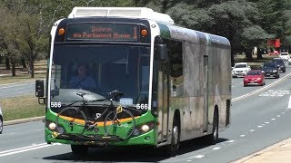 Buses at Lake Burley Griffin Commonwealth Avenue  Canberra Transport [upl. by Lalittah260]