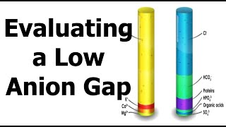 Evaluating a Low Anion Gap [upl. by Rozek]