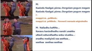 Nalladhu Kanne Karaoke for Male Singers by HamsaPriya [upl. by Ariaj]