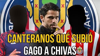 🚨ENTÉRATE LOS PRIMEROS CANTERANOS que Gago subió a Chivas  noticias chivas  refuerzos de chivas [upl. by Llennod]