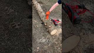 How To Stop A Chainsaw From Getting Stuck Binding Up amp Getting Dull by Hitting the Ground [upl. by Neff]