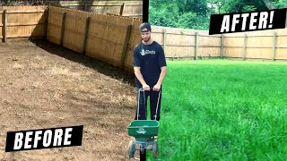 How to Grow a Lawn From Scratch DIY Guide  Lessons Learned [upl. by Ettelrats]