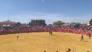 Plaza de toros encierro camarma de esteruelas 2022 [upl. by Audun475]