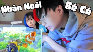 Kairon Nhận Nuôi BÉ CÁ MỚI  nuôi cá cũng vui [upl. by Riva130]