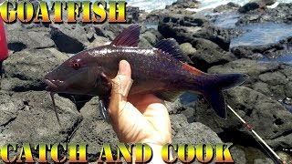 Goatfish Catch and Cook  Hunting Down Big Island Shore Fishing Spots And Giant Fish  BODS 36 [upl. by Secrest]