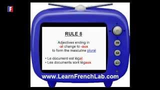 French Adjectives  Learn French Lab [upl. by Ahsiket]